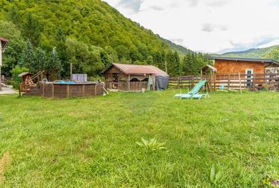 Cabana de vanzare -Marisel, 10 camere, terasa 41mp, piscina, ciubar - 4