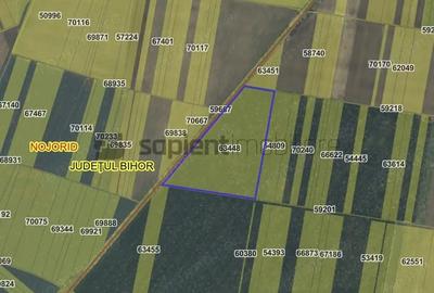 Teren de 70235 mp, în Nojorid - 1