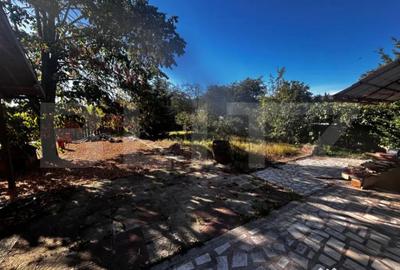 Casă cu 5 camere cu Teren 1320 Mp în Debarcader