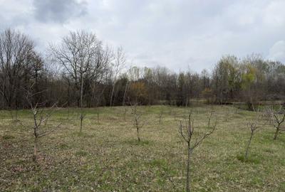 Spațiu comercial, în Bărbulețu - 2