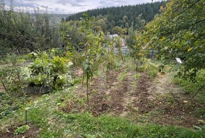 Teren intravilan de vanzare, 556 mp, zona strada Taberei - 2