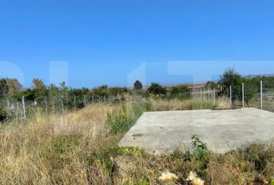 Casă cu 4 camere cu Teren 1657 Mp în Viile Satu Mare - 4