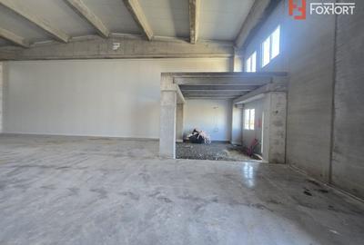 Spațiu industrial, de 524 mp, în Sânandrei - 6