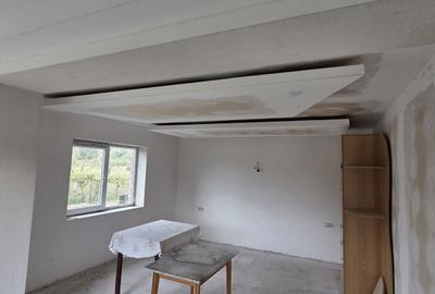 Casă cu 2 camere în Bărăștii Hațegului - 1