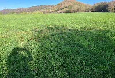 Spațiu comercial, în Central - 1