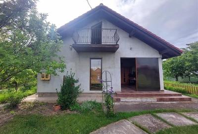 Casa cu mansarda in Sanpaul - 2