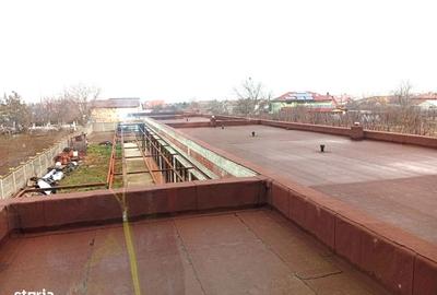 Casă cu 4 camere cu Teren 1400 Mp în Sânnicolau Mic - 11