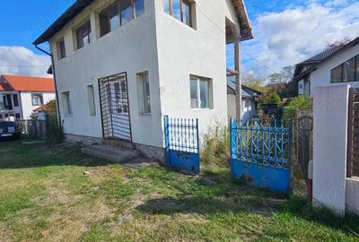 Doua case in aceeasi curte, Calimanesti - 1