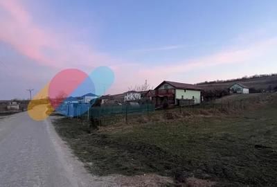 Teren Construcții extravilan de 1275 mp, în Iris - 2