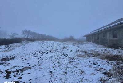 Casă cu 2 camere cu Teren 5135 Mp în Dobreni - 1