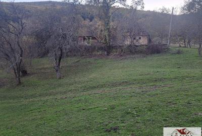 Vanzare casa cu 17.399 mp teren in Vintu de Jos - Valea Vintului - 7