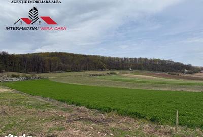 Teren de 833 mp, în Meteș - 4