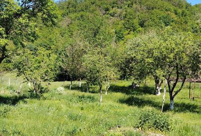 Casă cu 2 camere în Ormindea - 7