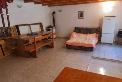 Casa de vacan?a, deosebita, sat Salard com Lunca Bradului Tel - 6