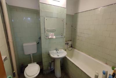 Apartament cu 4 camere decomandat în Parcul Circului - 14