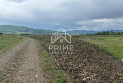 Teren extravilan de vanzare in Barabant, 5000 mp.