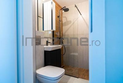 2 camere, decomandat, renovat complet, Raul Doamnei- Drumul Taberei - 6