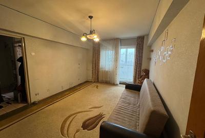 2 Camere Campia Libertatii Pet friendly - 3