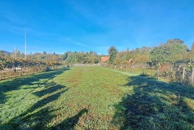 Casa generoasa mobilat utilata Sinca Noua - 19