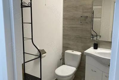 Apartament cu 2 camere decomandat, mobilat în Baba Novac - 8