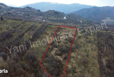 Teren de 14328 mp, în Nucșoara - 10