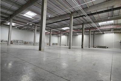 Spatiu Industrial - 6000 mp - Logistica - Productie - Depozitare - Distributie - 3