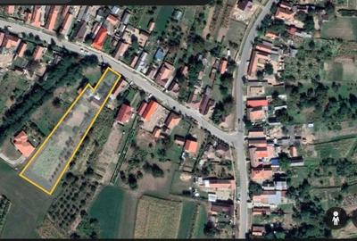 Spațiu comercial, în Cetariu - 2