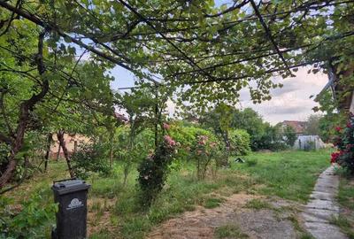 Teren + Casa de Vanzare Targu Jiu, Str. Meteor Teren + Casa de Vanzare Targu Jiu, Str. Meteor - 3