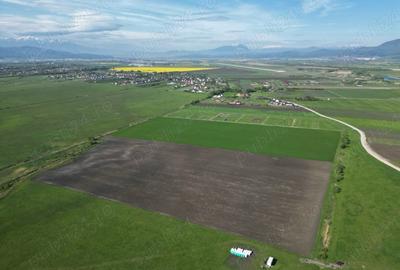Teren de 8600 mp, în Stupini - 4