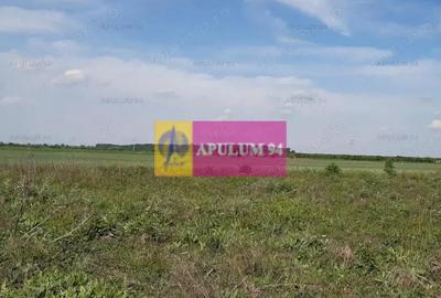 Teren de 3820 mp, în 1 Decembrie - 6