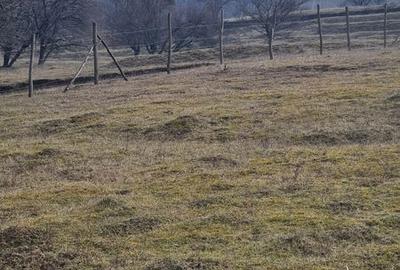 Teren de 4200 mp, în Drajna - 2