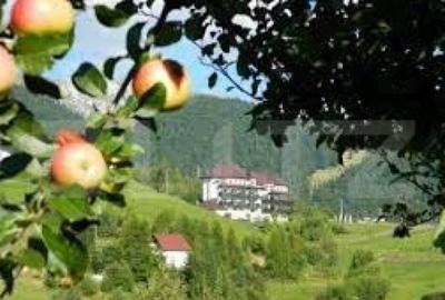 Teren 13.570 mp, Moieciu Pestera - 2