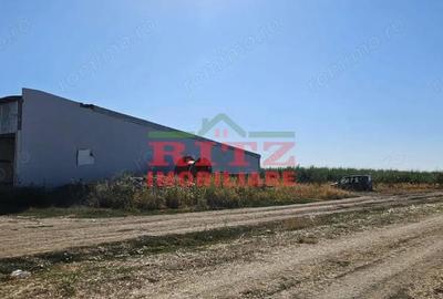 OFERTA!!! FERMA POMI FRUCTIFERI,VITA DE VIE,TEREN ARABIL SI HALA, FARCASELE 56.800 MP !!! - 19