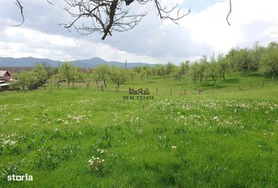 Casă cu 4 camere cu Teren 4977 Mp în Ribița - 2