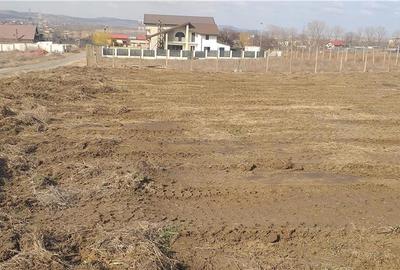 Teren de 1200 mp, în Vest - 2
