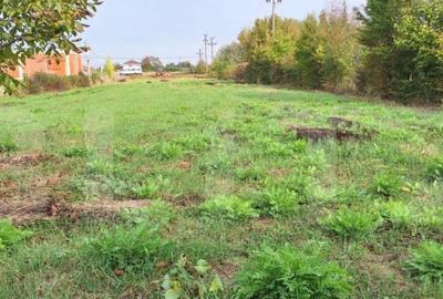 Teren Intravilan, sat Martinesti comuna Odoreu - 1