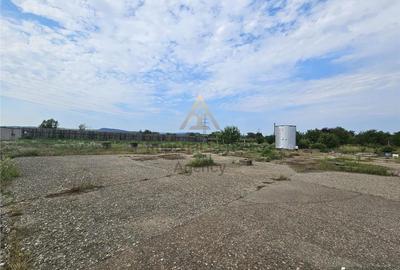 Teren de 10000 mp, în Periferie - 5