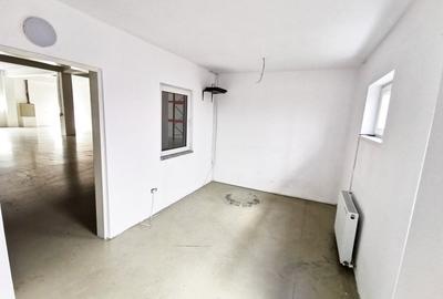 Spațiu industrial, de 500 mp, în Torontalului - 8