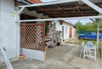 Casă cu 2 camere cu Teren 1800 Mp în Vârfurile - 2