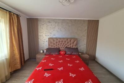 Casa P+M Odobesti Dambovita - 3