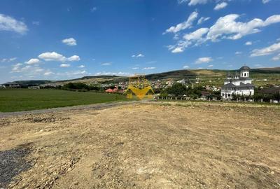 Terenuri de vanzare, Parcelabil, Valea Chintaului, Zona Beta Residence - 1