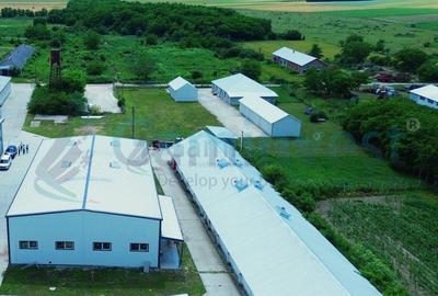 Spațiu industrial, de 1,290 mp, în Sălard - 2