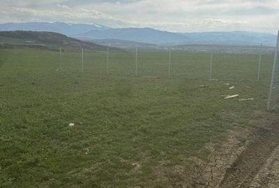 Teren de 500 mp, în Șelimbăr - 7