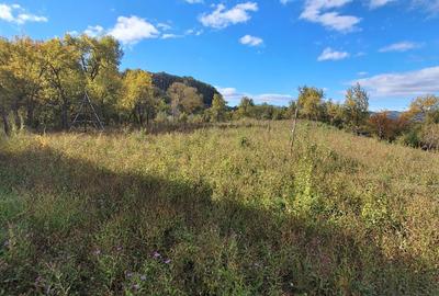 Spațiu comercial, în Sânbotin - 5