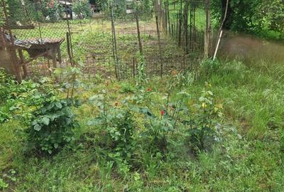 Apartament cu 2 camere semidecomandat în Central - 8