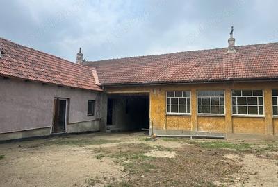 Casă cu 6 camere cu Teren 2160 Mp în Balinț - 6