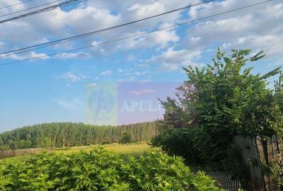 Se vinde teren 4200 mp in Teisori Giurgiu - 22