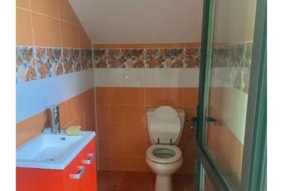 Casă cu 7 camere cu Teren 1600 Mp în Jilava - 9
