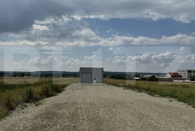 Spațiu industrial, de 336 mp, în Exterior Vest - 3