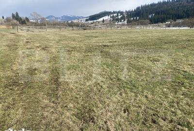 Teren de 12500 mp, în Poiana Stampei - 3